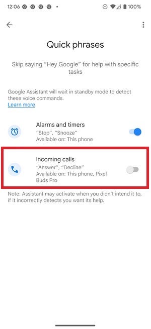 You can permanently disable the bug by disabling Quick Phrases for incoming calls.