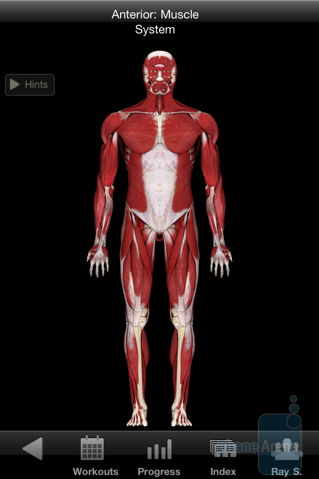 iMuscle relies on 3D models and animation in order to visualize the exercises - iMuscle for iPhone Review
