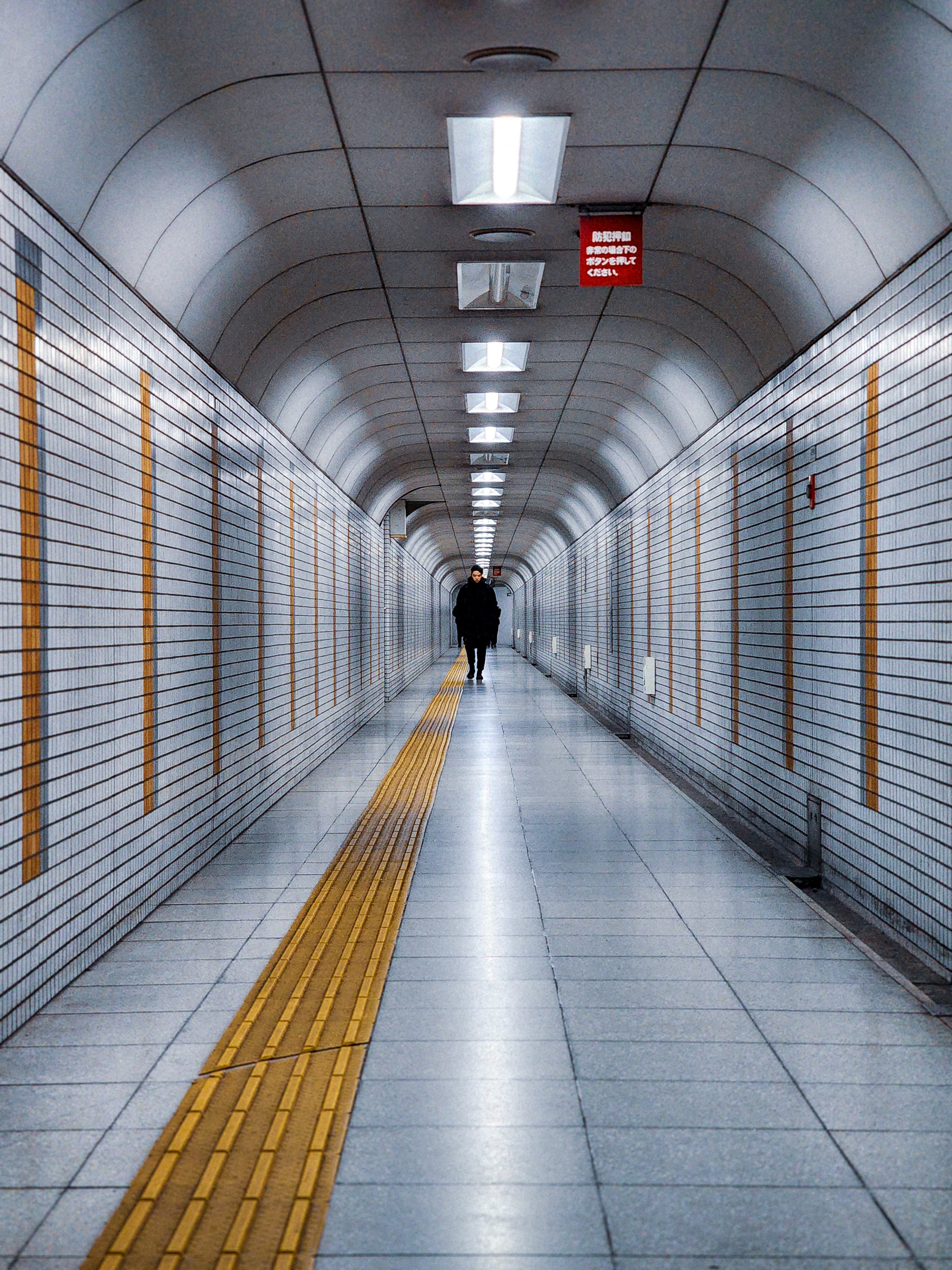 The Tunnel | Image Credit - Steven Tirado - Photo of the Week: These are your best photos