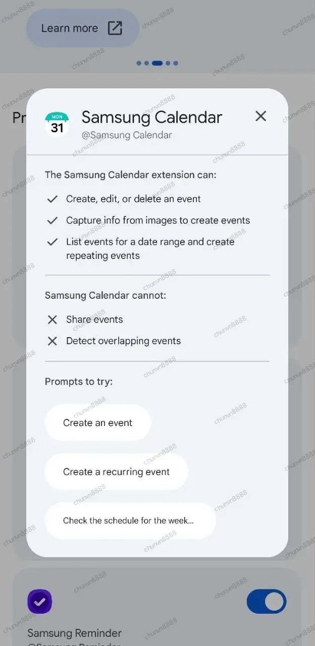 Screenshots from the leaked Gemini extensions.