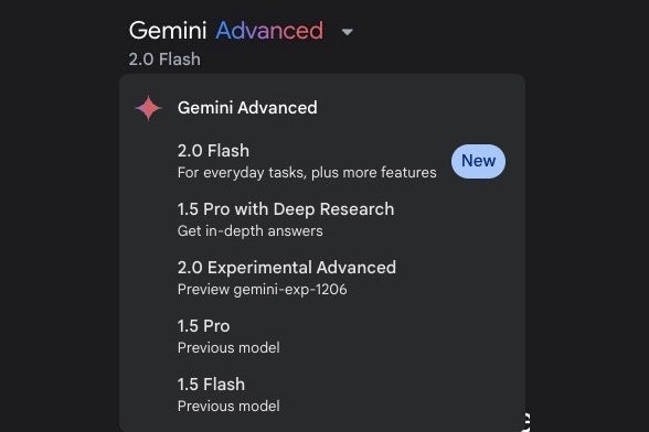 Screenshot of the Gemini models currently available on the web