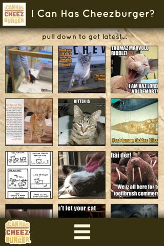 I can has cheezburger on your iPhone: LOLCats official iOS app arrives