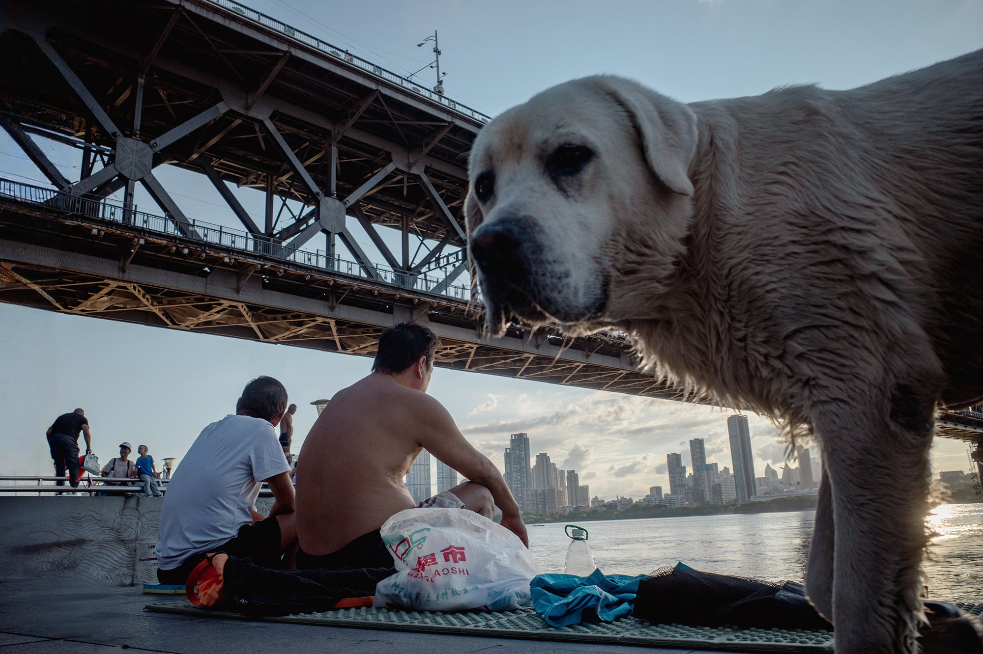 Composition is king. | Image credit – 快门师傅 徐威 from the GR Photo Festival 2024 - Observe and learn: your smartphone photography skills are about to take off!