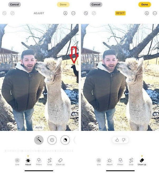 Apple&#039;s Clean Up AI feature works great. Ask the Llama. | Image credit-PhoneArena - New Apple ad shows how Apple Intelligence can improve your photography