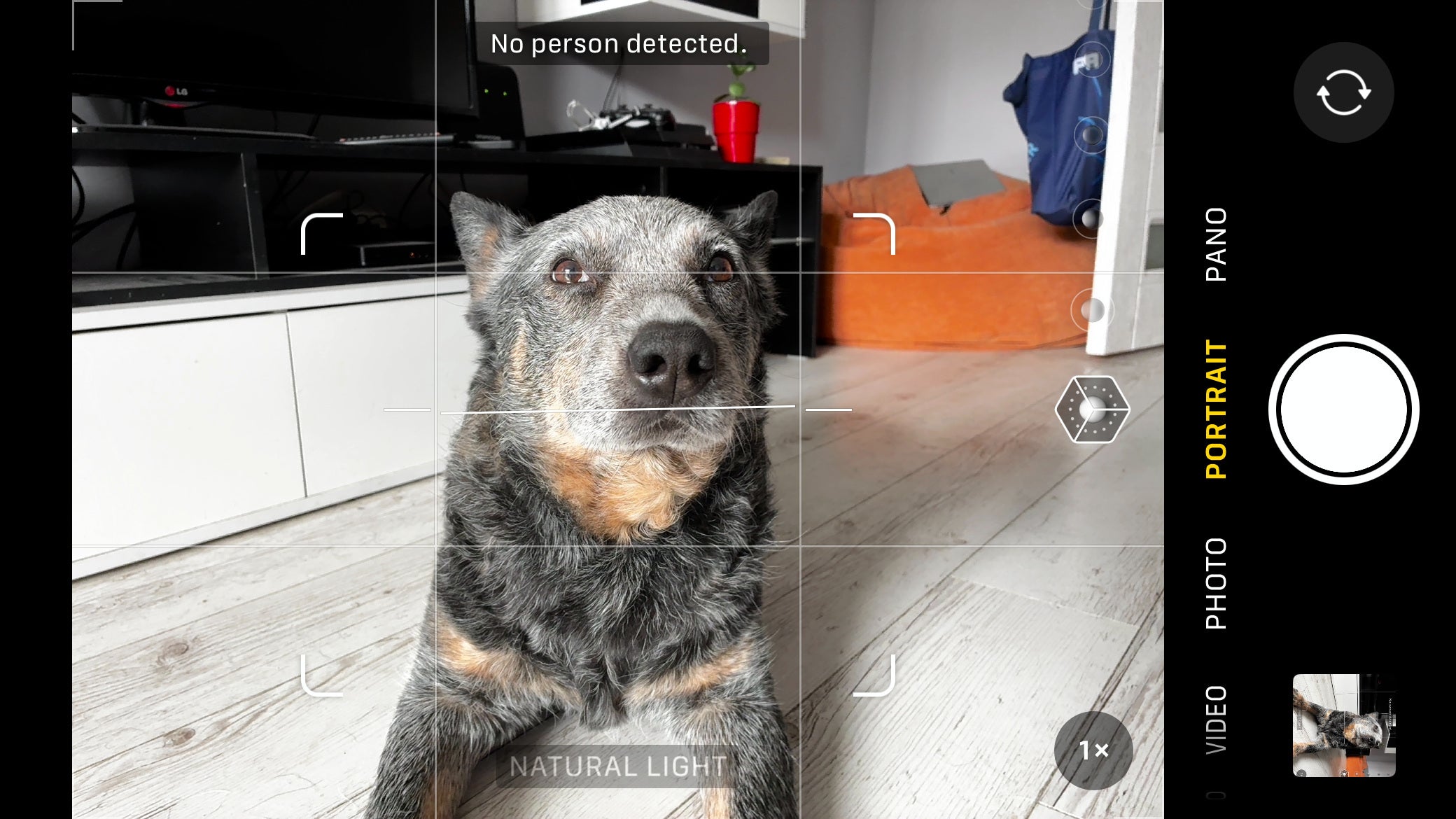 New phone, old tricks: the iPhone 16e’s hidden camera downgrades