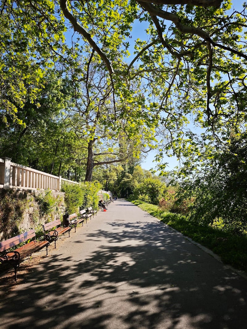 Pixel 9 Pro Camera After 9 Months: Here is why I still prefer it over an iPhone or Galaxy