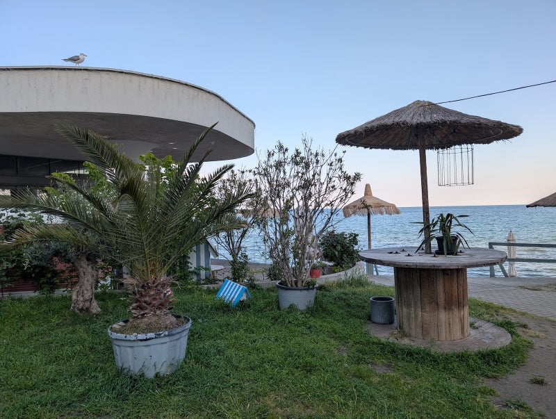 Pixel 9 Pro Camera After 9 Months: Here is why I still prefer it over an iPhone or Galaxy