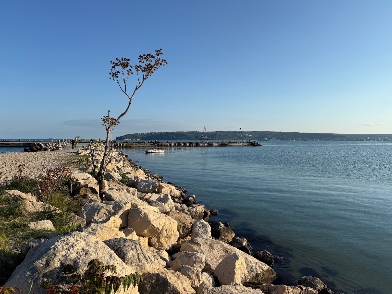 iPhone 16 Pro - Pixel 9 Pro Camera After 9 Months: Here is why I still prefer it over an iPhone or Galaxy