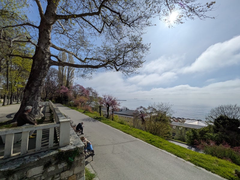 Google Pixel 9a camera score revealed: Punching way above its weight!
