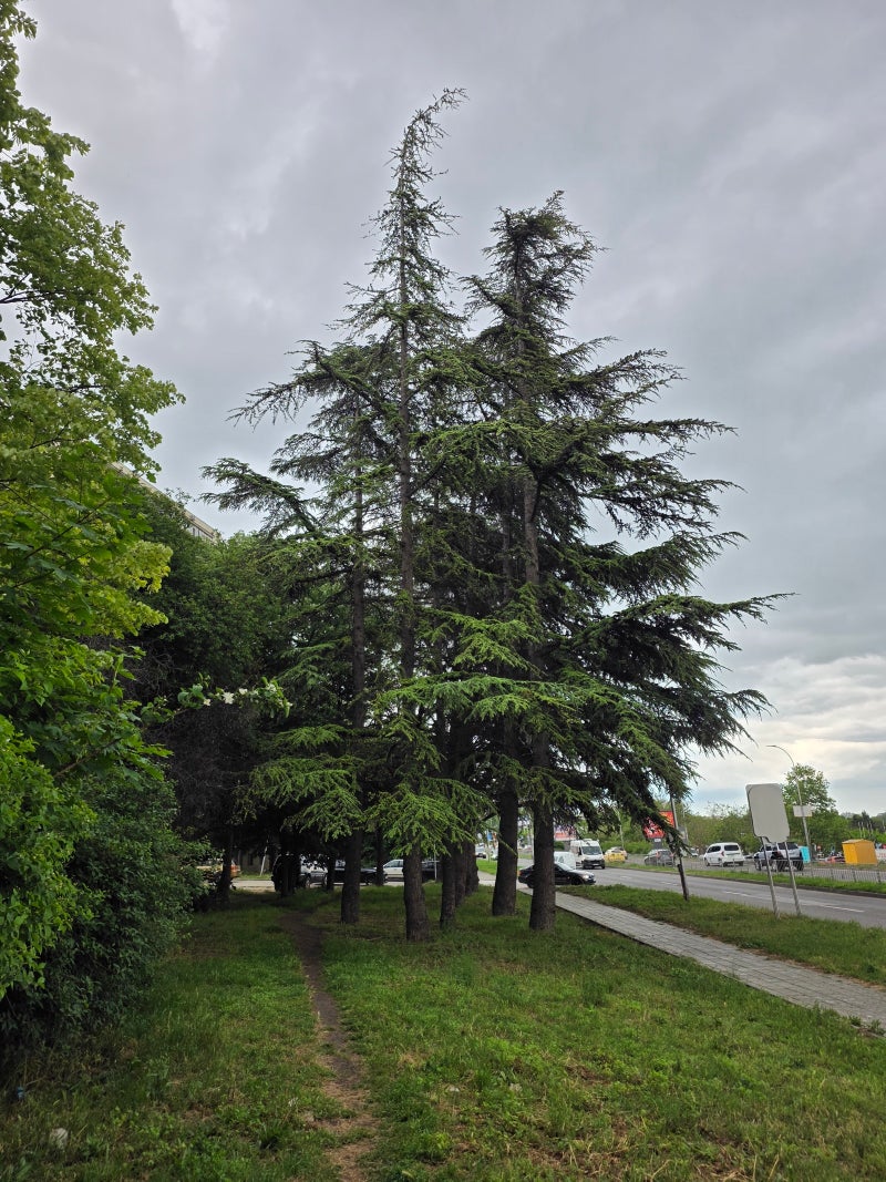 Galaxy S25 Edge camera score revealed: Slim on zoom but strong on style
