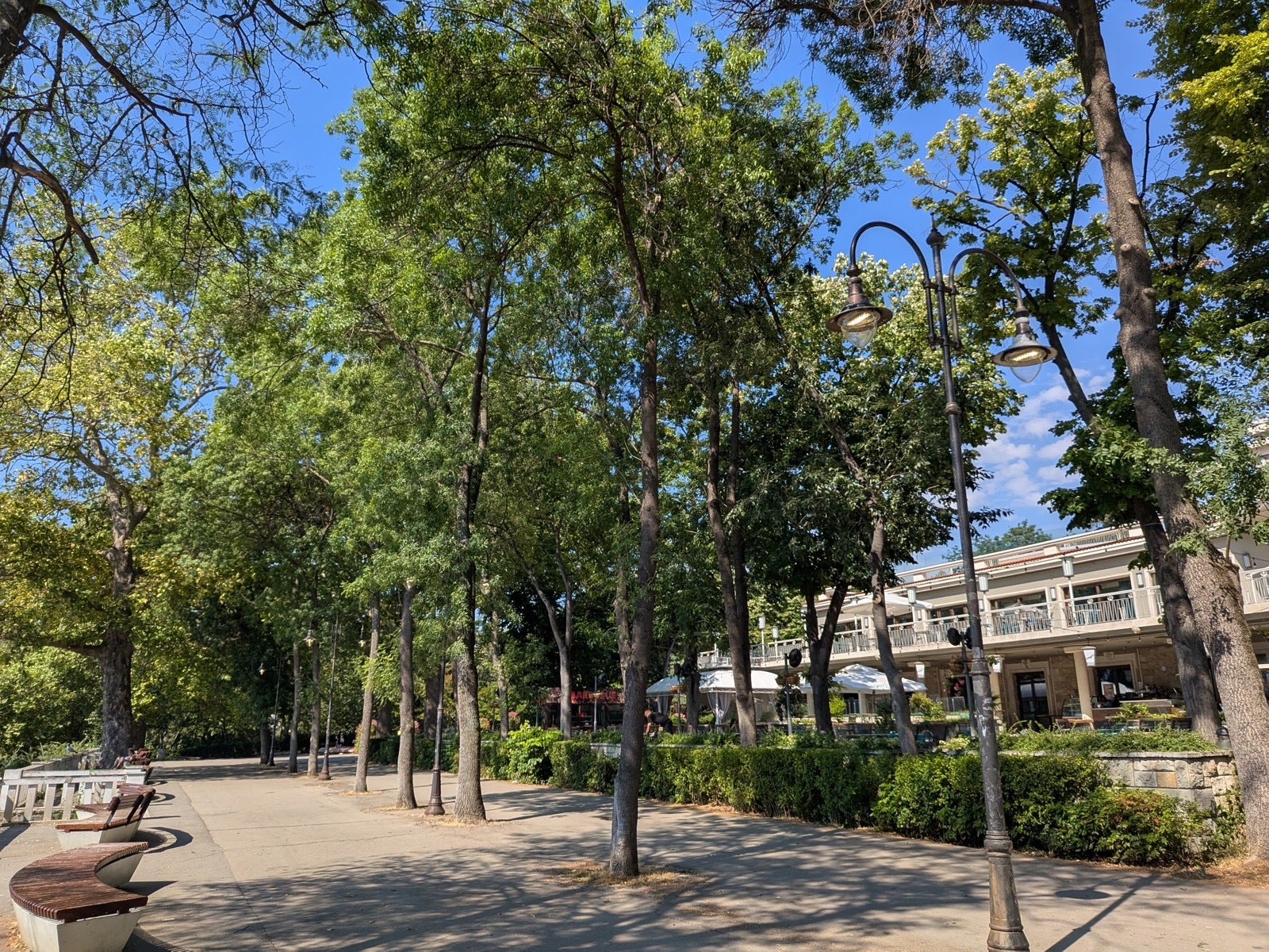 Pixel 9 Pro Fold - Samsung Galaxy Z Fold 7 vs Pixel 9 Pro Fold: Sample Photos Comparison