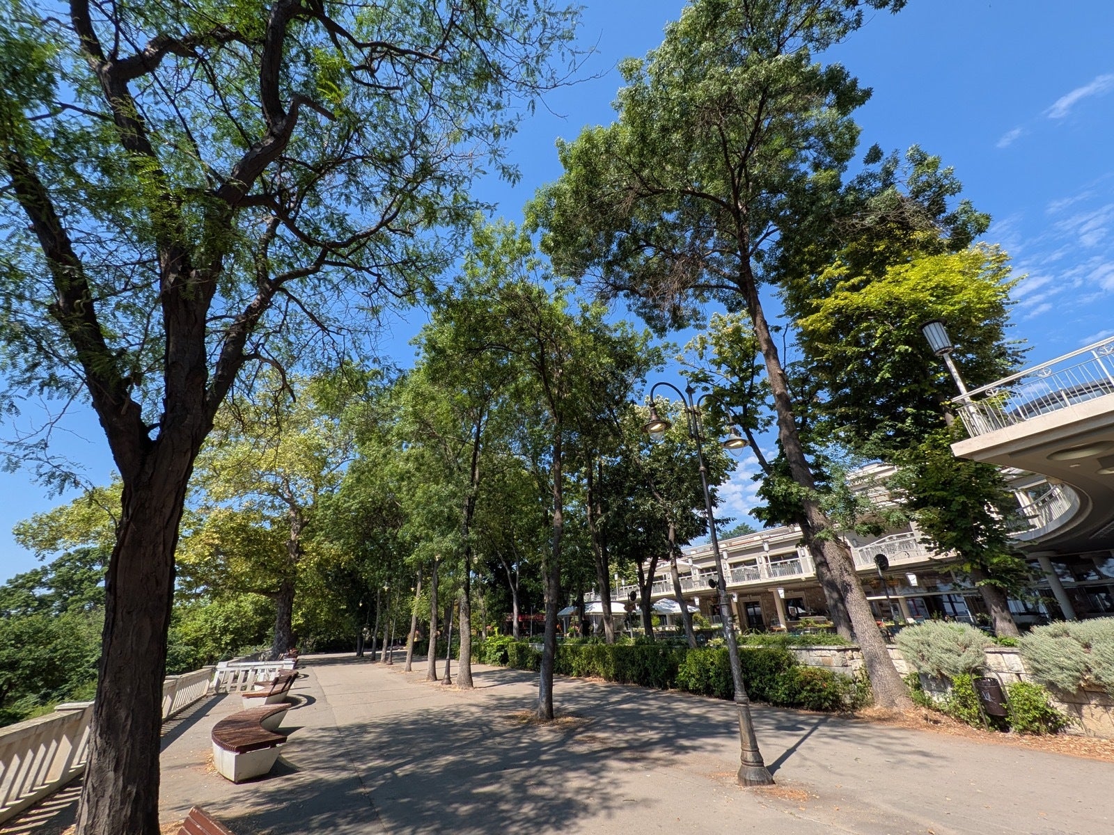 Pixel 9 Pro Fold - Samsung Galaxy Z Fold 7 vs Pixel 9 Pro Fold: Sample Photos Comparison
