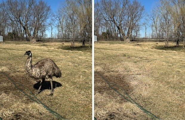 This is how well Apple's iOS 26 AI feature "Clean Up" removes items from a photograph. | Image credit-PhoneArena - Latest iPhone ad promotes new iOS 26 AI feature that is an old Pixel 6 AI feature