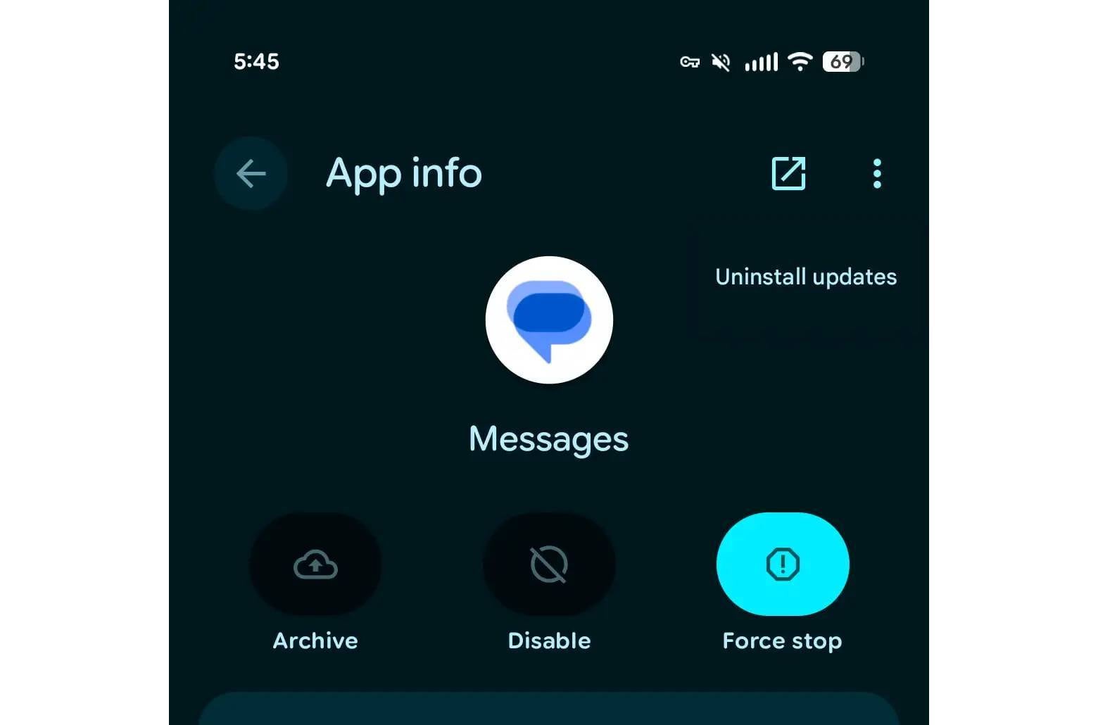 Google Messages crash