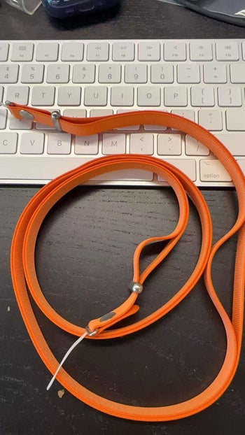 Apple's Crossbody Strap | Image Source — Sonny Dickinson on X (ex-Twitter)