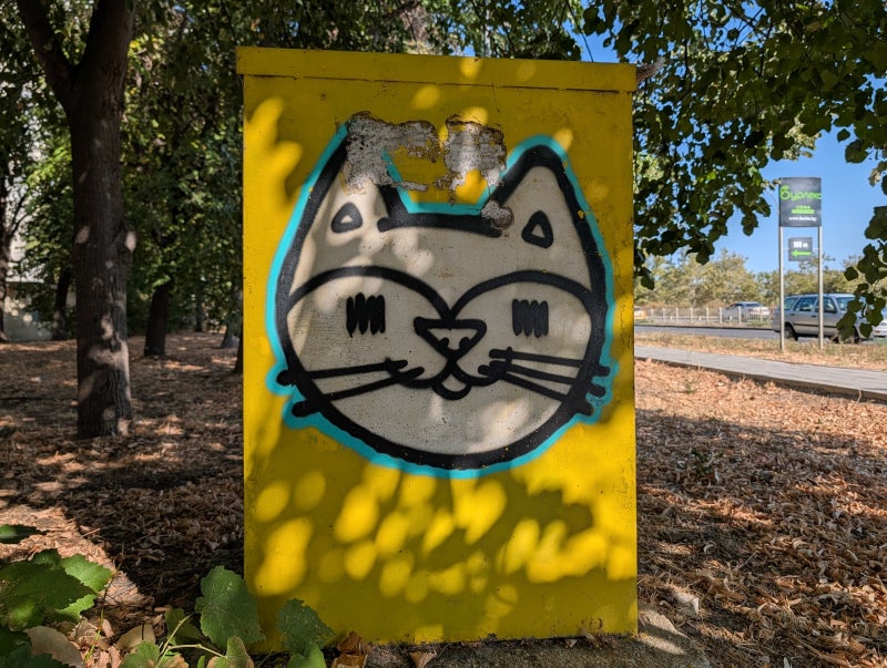 Google Pixel 10 Pro XL camera score revealed: Slightly better than the Pixel 9 Pro XL