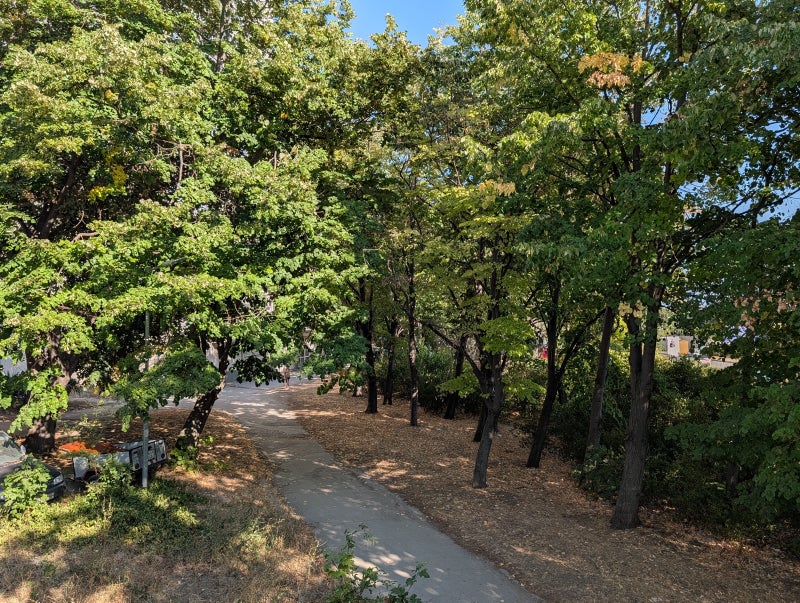Google Pixel 10 Pro XL camera score revealed: Slightly better than the Pixel 9 Pro XL