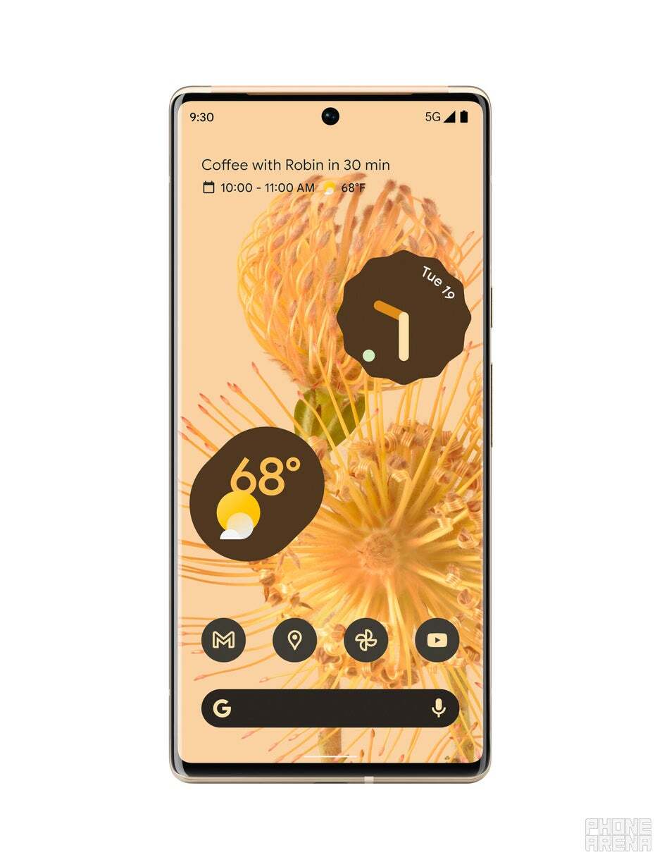 Picture of the Pixel 6 Pro.