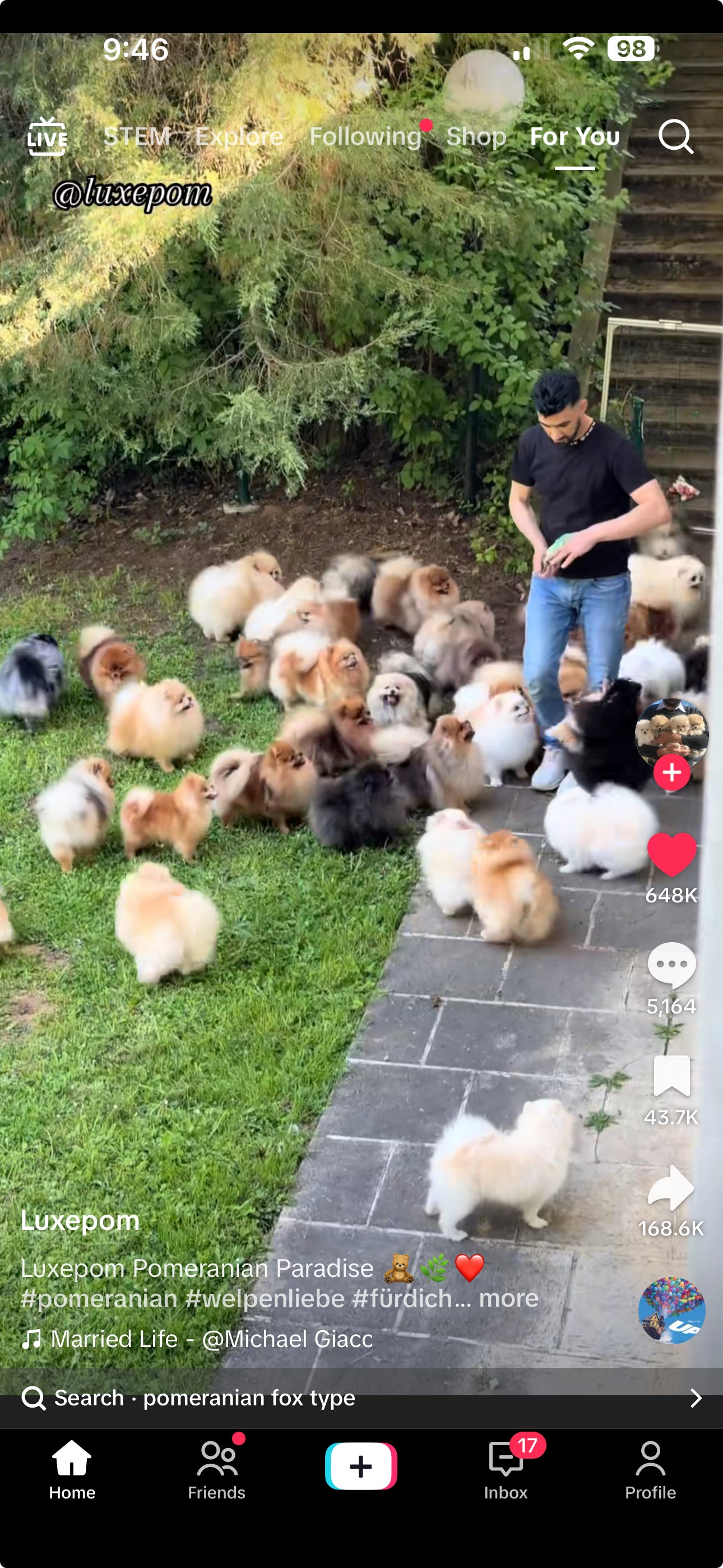 Screenshot from iOS variant of the TikTok app.