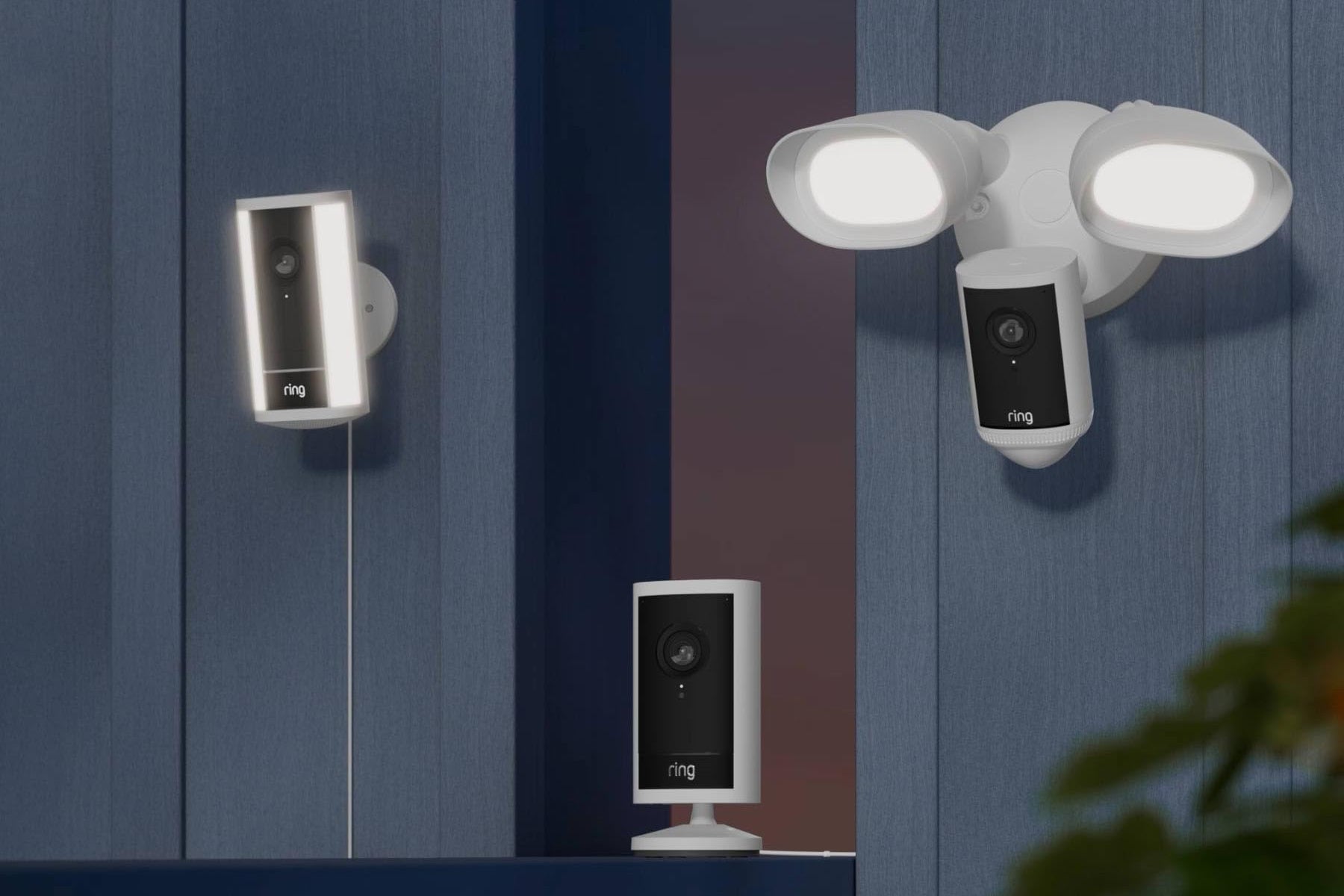 Image of the new Ring cameras