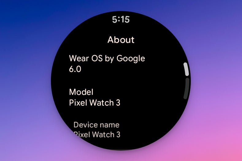 Screenshot of Pixel Watch 3 &quot;About&quot; screen