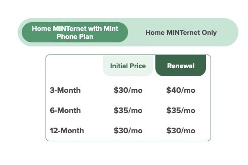 Breakdown of MINTernet plans