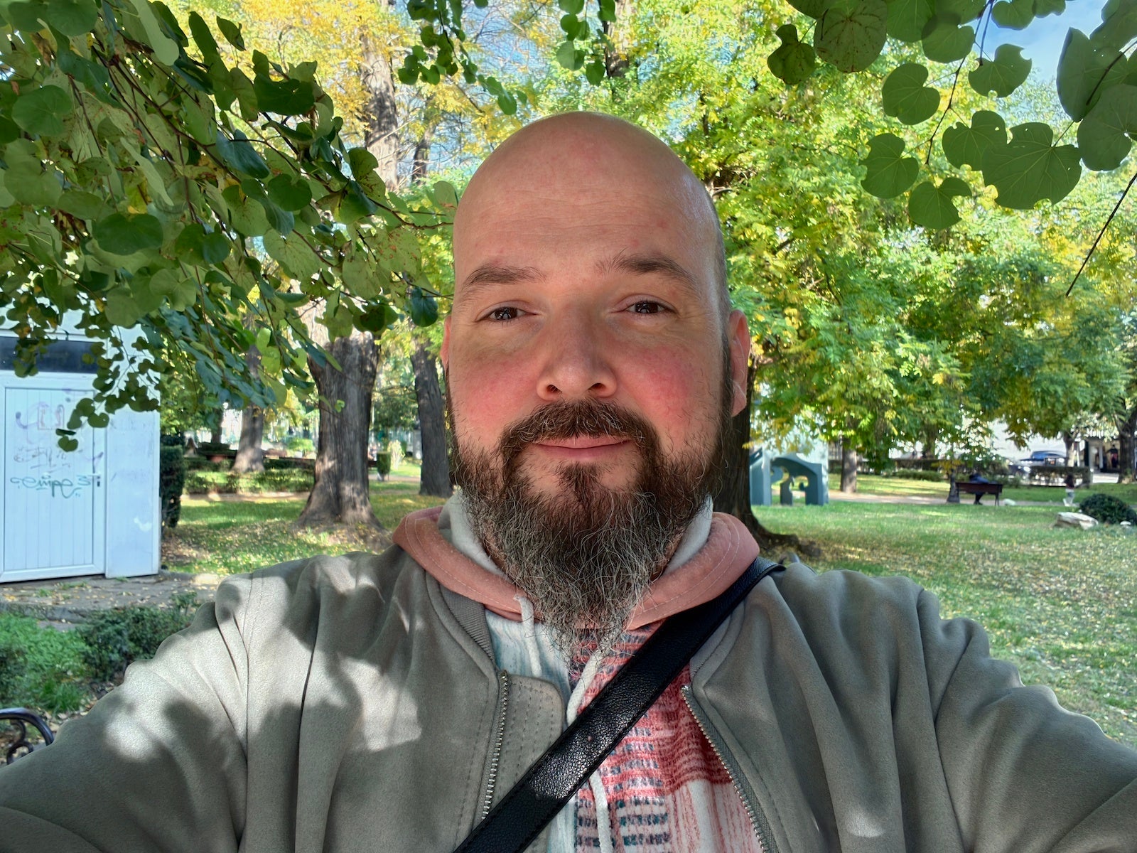 Vivo X300 Pro - Vivo X300 Pro vs Galaxy S25 Ultra: Camera comparison