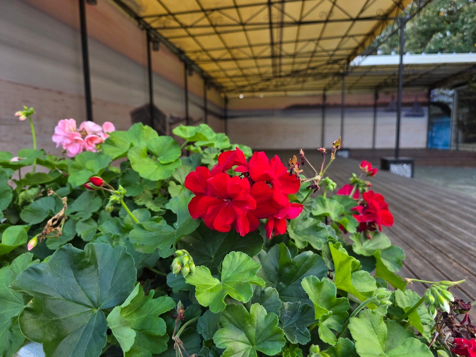 Galaxy S25 Ultra - Vivo X300 Pro vs Galaxy S25 Ultra: Camera comparison