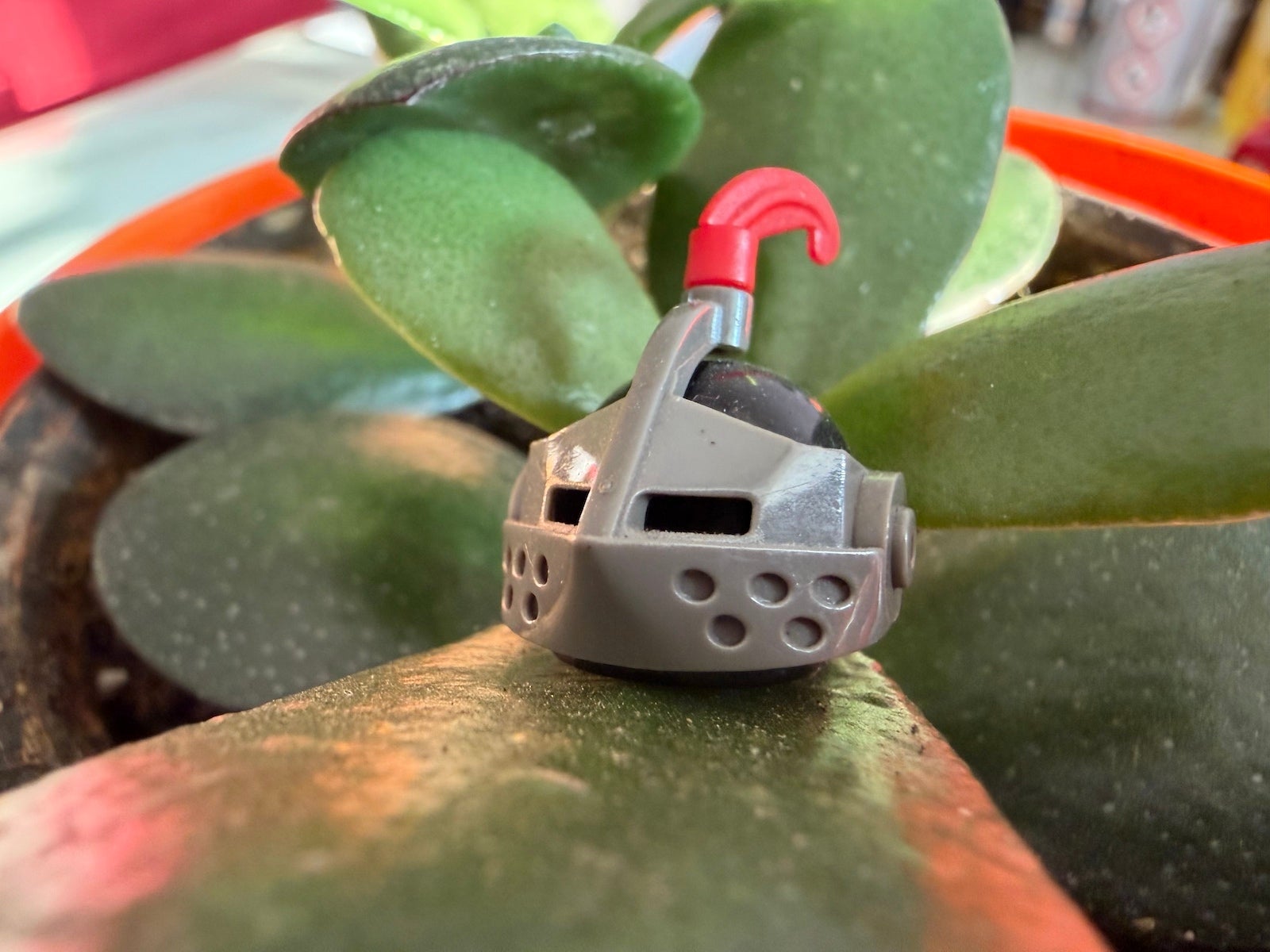 iPhone 17 Pro Max - Vivo X300 Pro vs iPhone 17 Pro Max: photo samples comparison