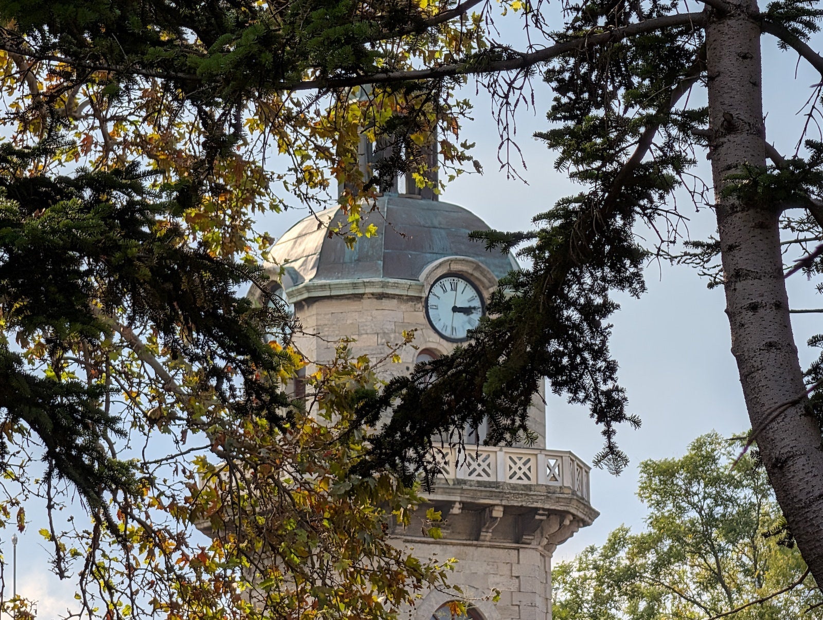Pixel 10 Pro XL 10x - Vivo X300 Pro vs Pixel 10 Pro XL: camera comparison