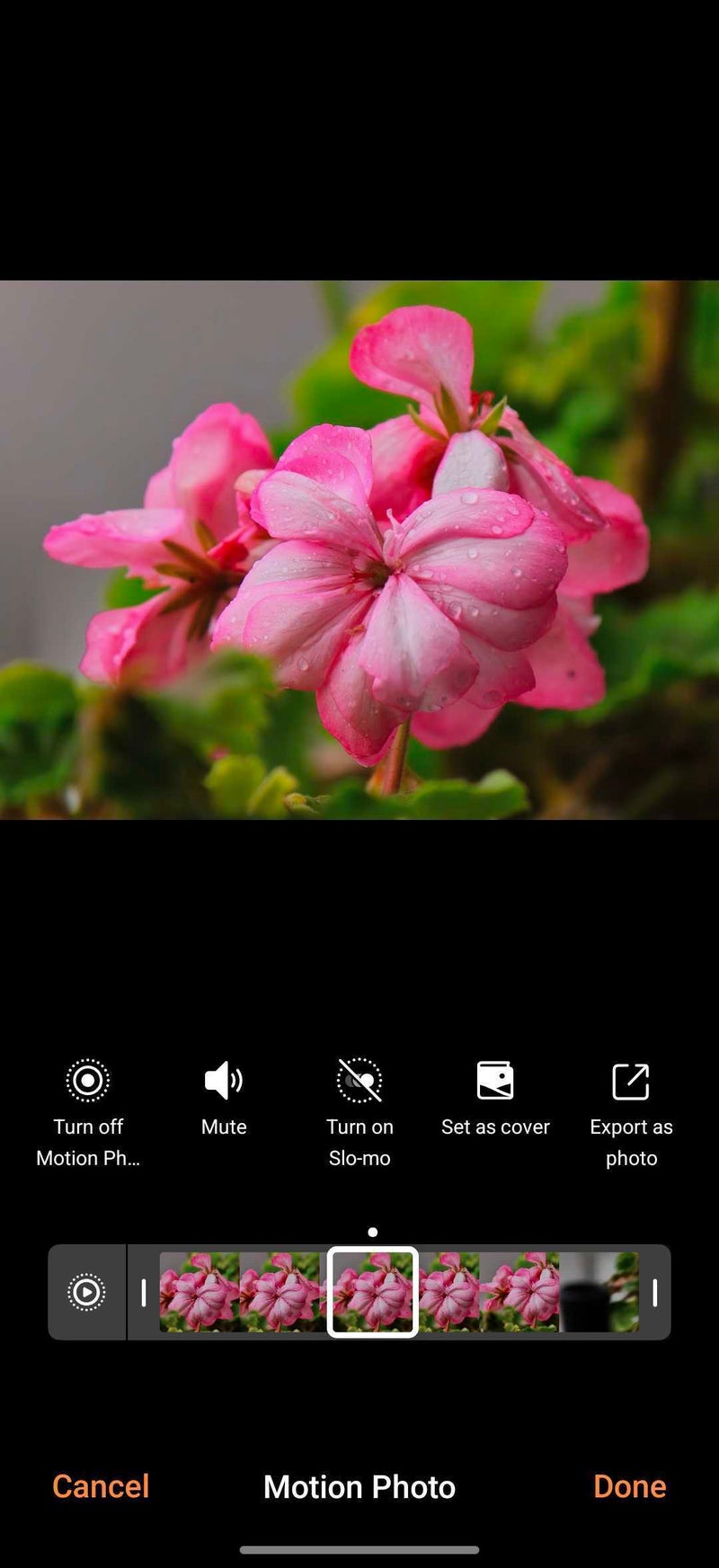 This phone does what no other can