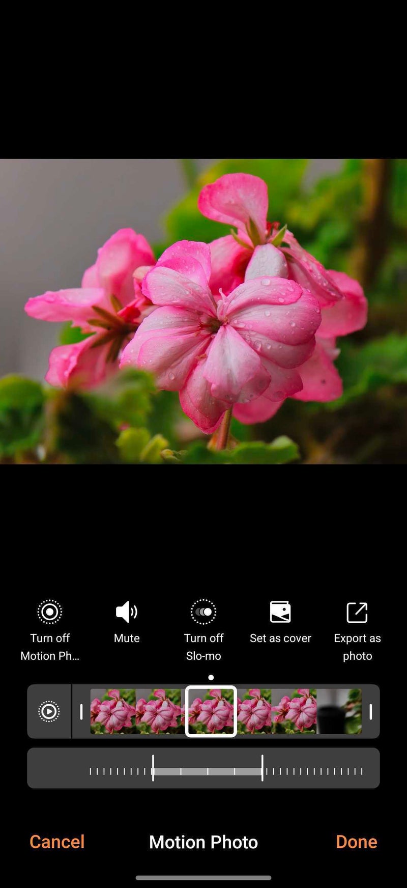 This phone does what no other can