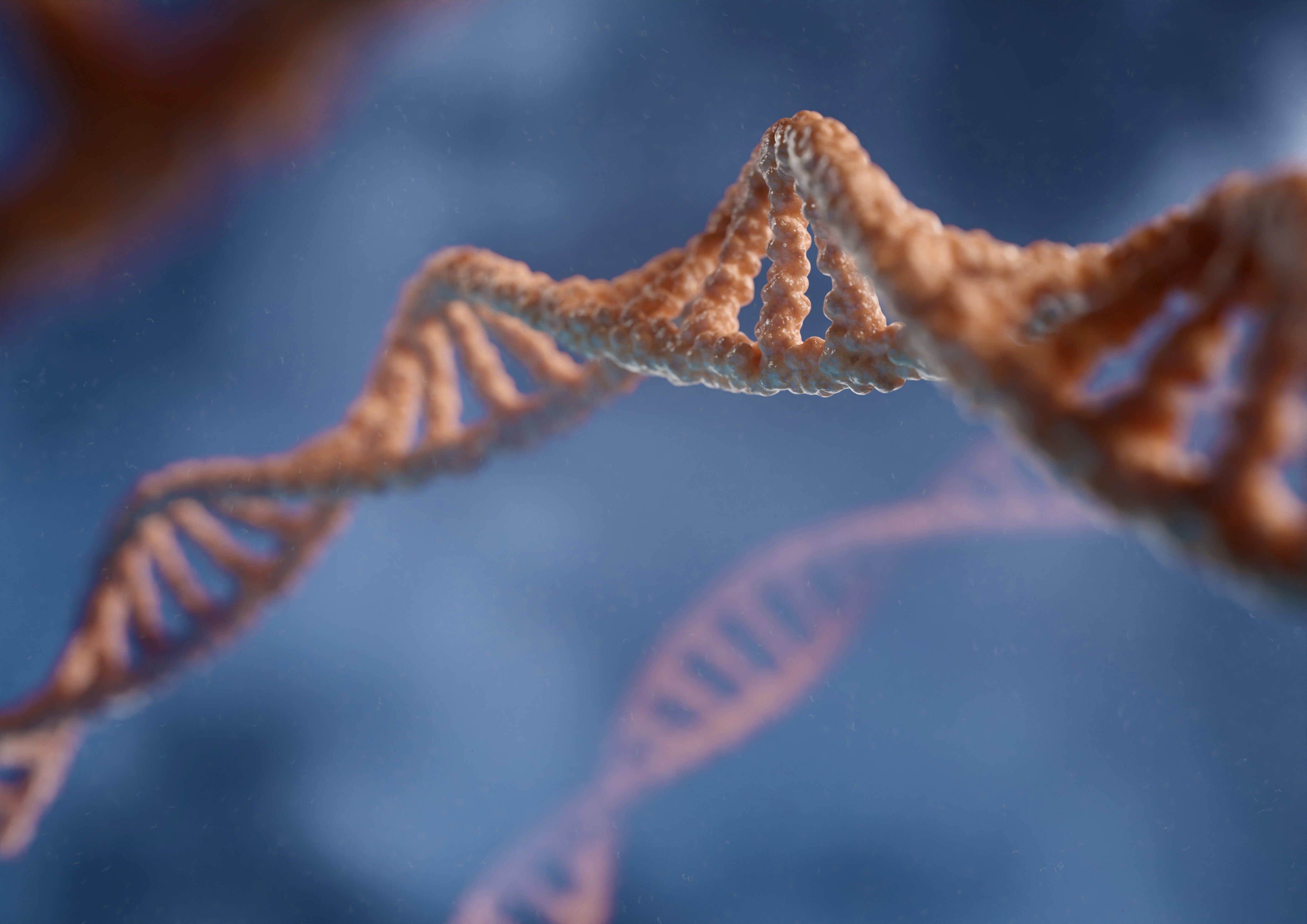 3D render of a DNA double helix strand.