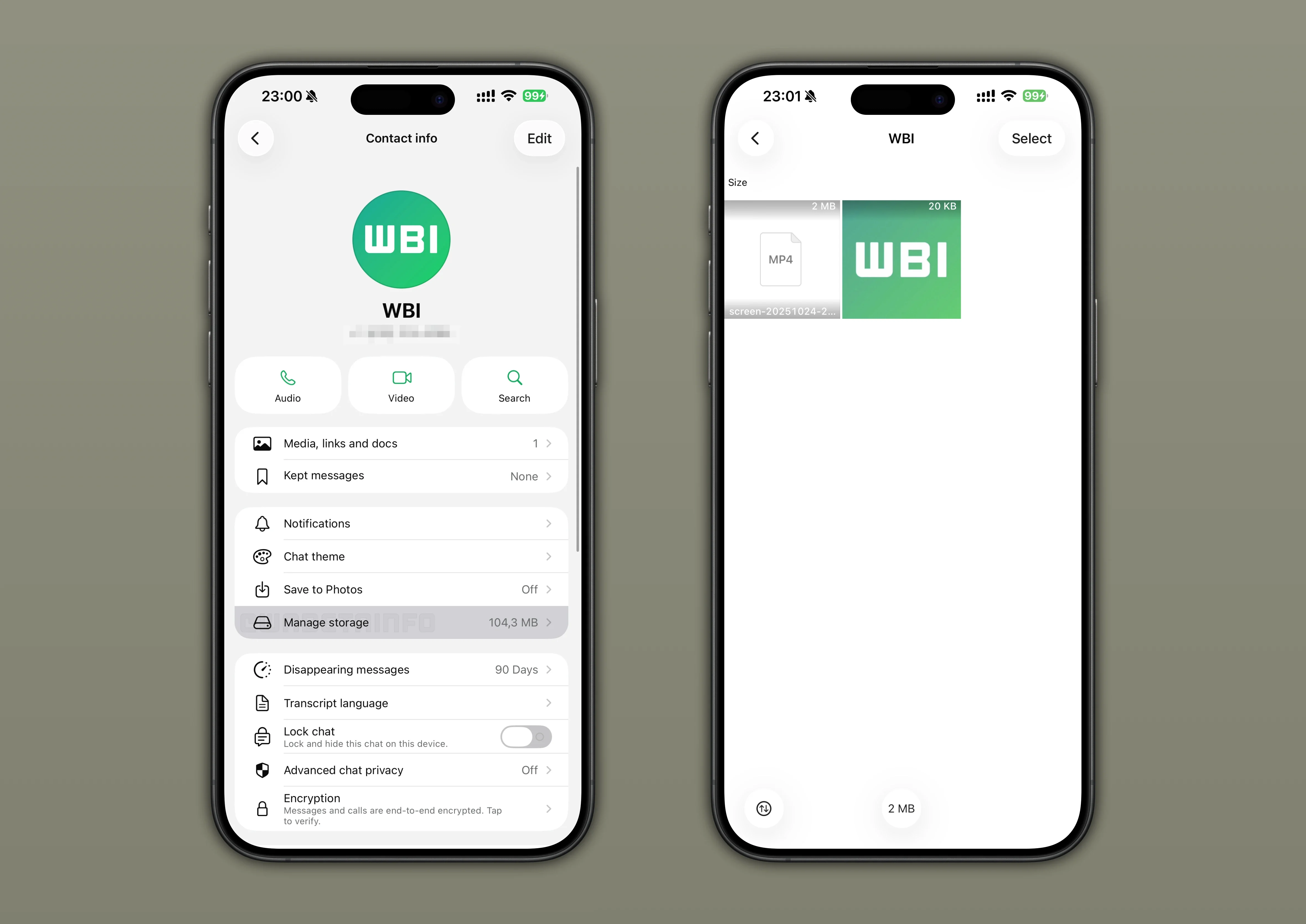 The new WhatsApp feature seen in the iOS Beta of the app. | Image credit – WaBetaInfo - WhatsApp will soon solve your storage issues without needing you to delete all your chat history