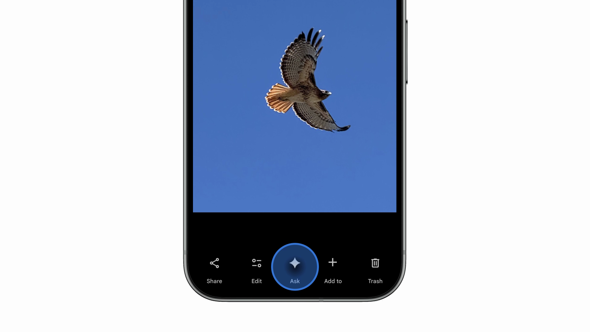 The new “Ask” button gives more context about your photos. | Image credit – Google - Nano Banana is now in Google Photos and even iOS users can use its best features