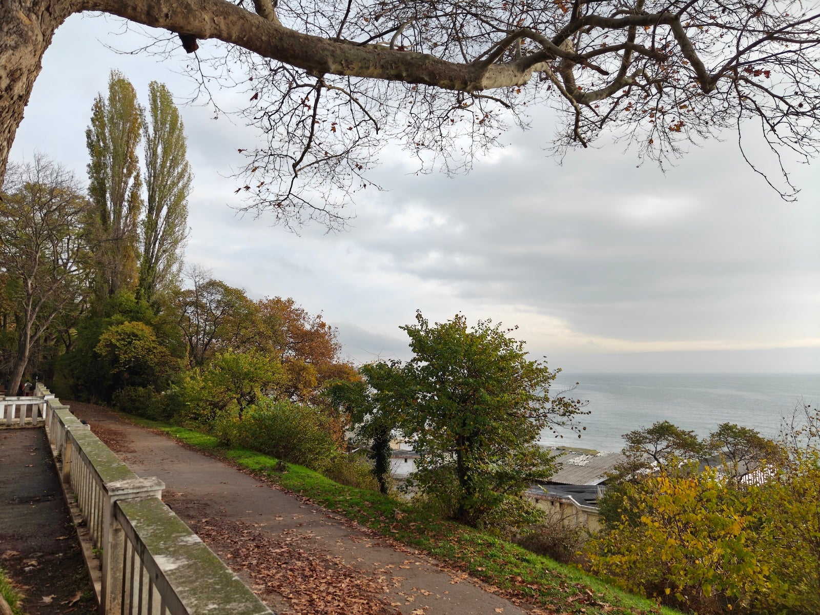 OnePlus 15 - OnePlus 15 vs OnePlus 13: Sample Photos Comparison