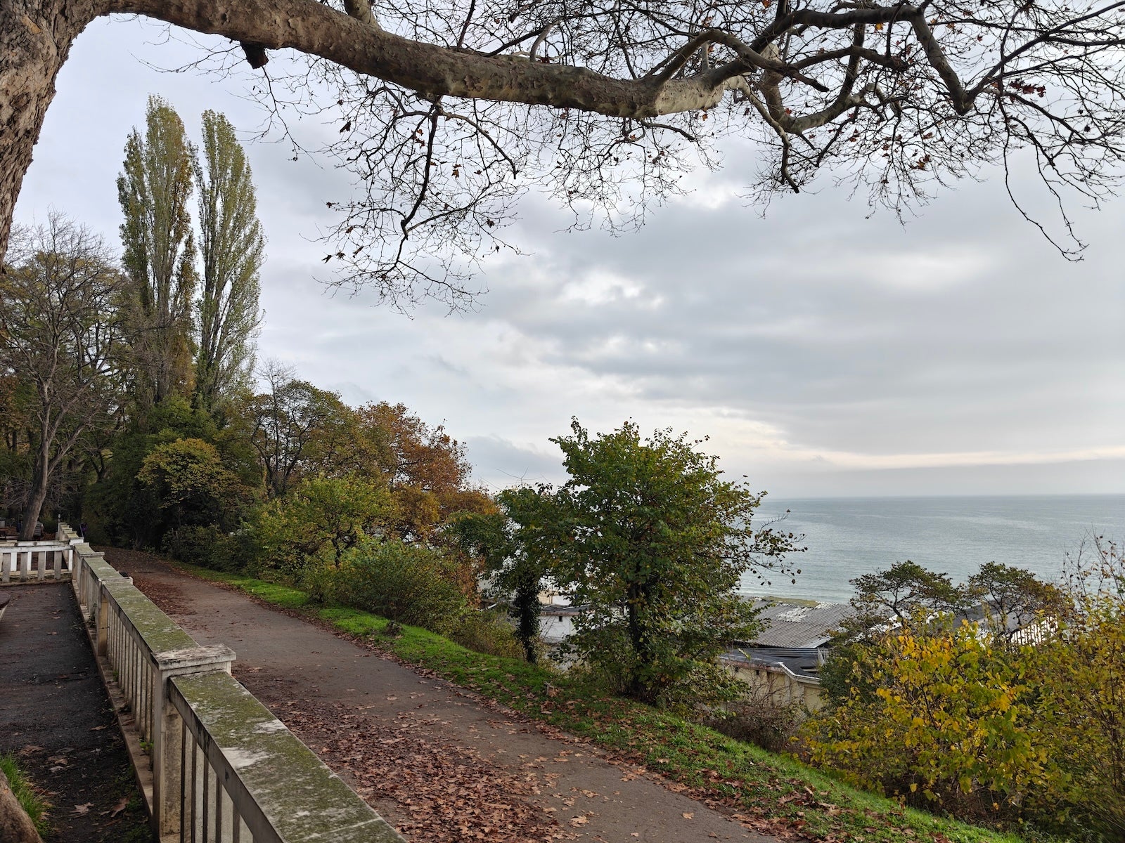 OnePlus 13 - OnePlus 15 vs OnePlus 13: Sample Photos Comparison