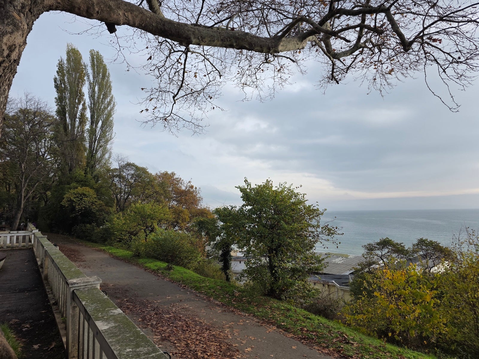 Galaxy S25 Ultra - OnePlus 15 vs Galaxy S25 Ultra: Sample Photos Comparison