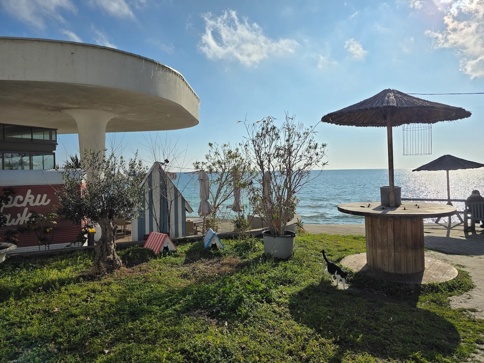 Galaxy S25 Ultra - OnePlus 13 or Galaxy S25 Ultra: A Black Friday conundrum I’ll help you solve