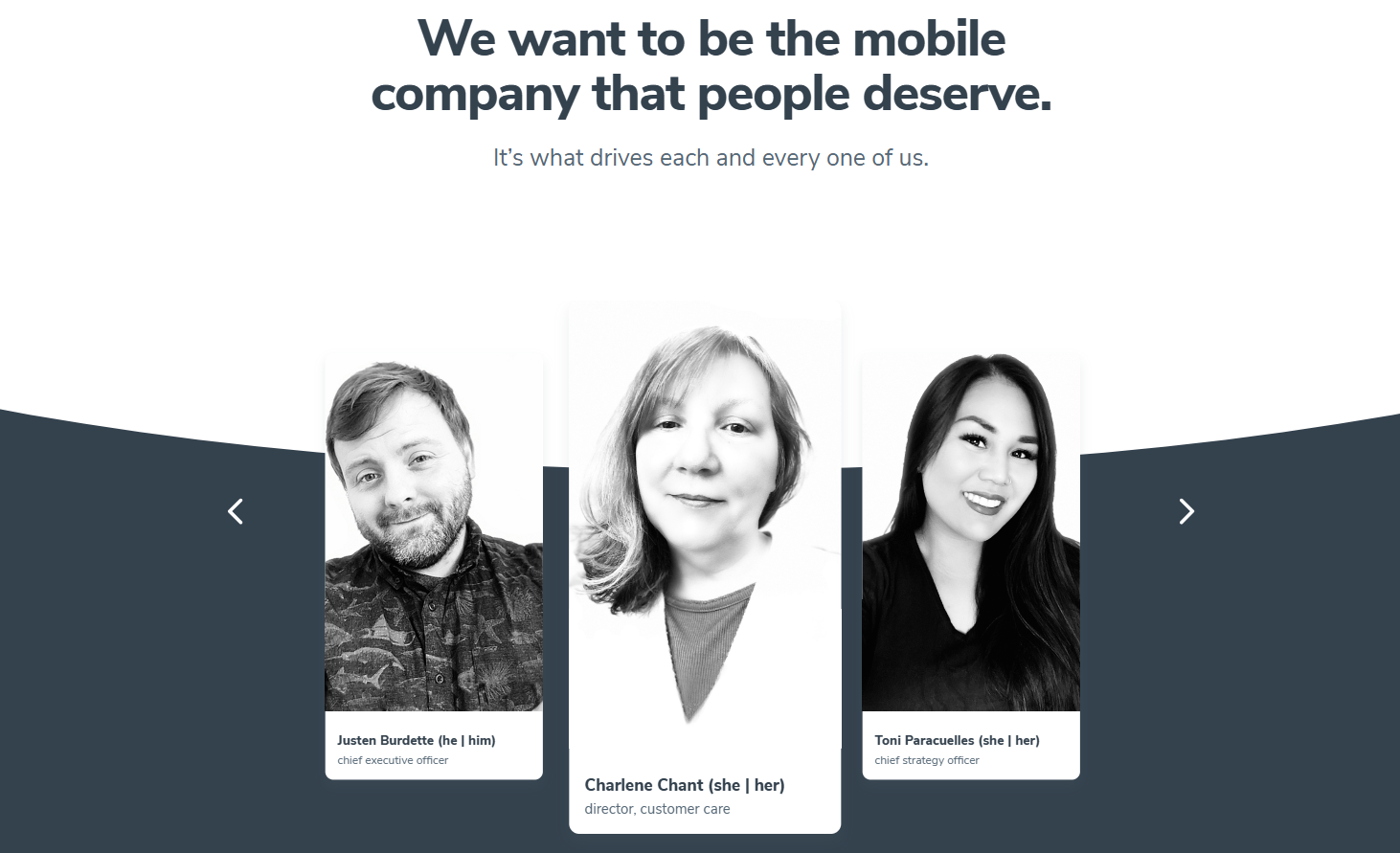 Screenshot of Mobi website.