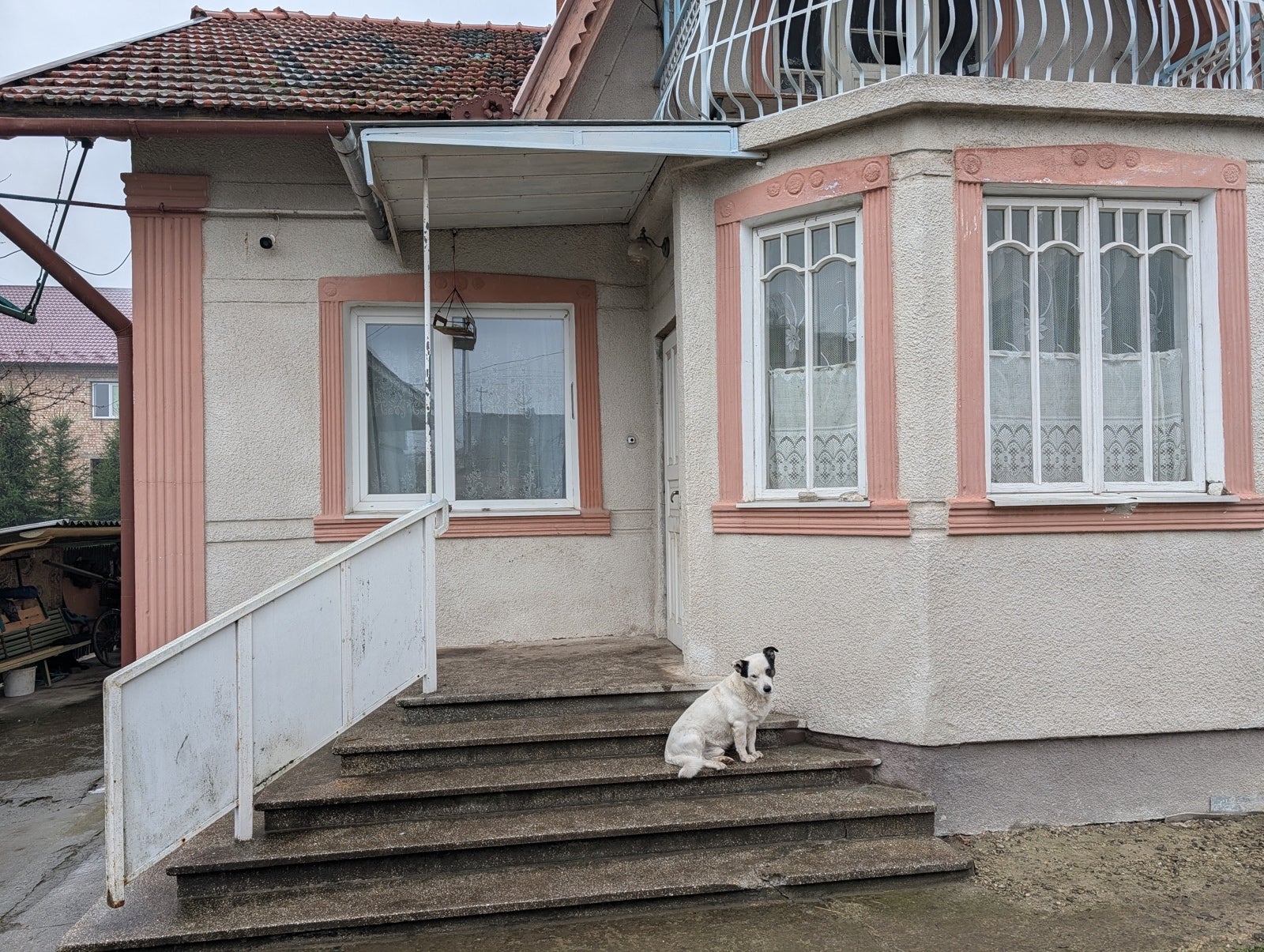 Pixel 10 Pro wide camera - Why the OnePlus 15 camera fails where every flagship excels