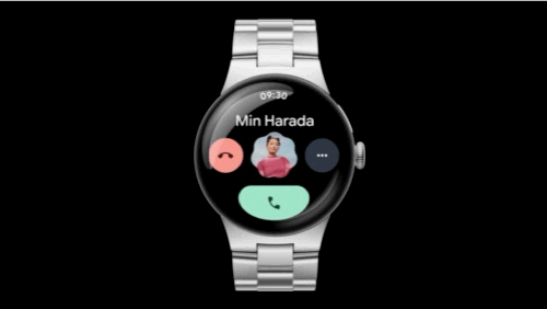 Pixel Watch One-Handed Gesture