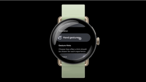 Pixel Watch One-Handed Gesture