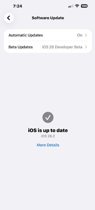 Screenshot shows how to set your iPhone to receive automatic updates.
