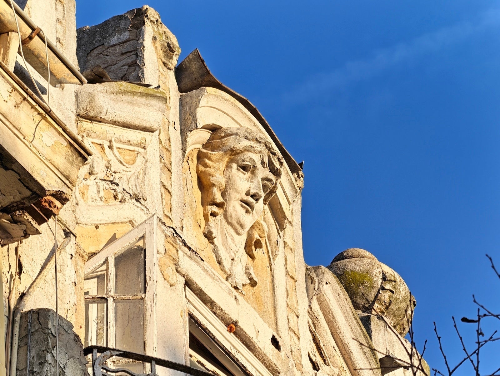 Honor Magic 8 Pro 10X - Honor Magic 8 Pro vs Galaxy S25 Ultra: Sample Photos Comparison