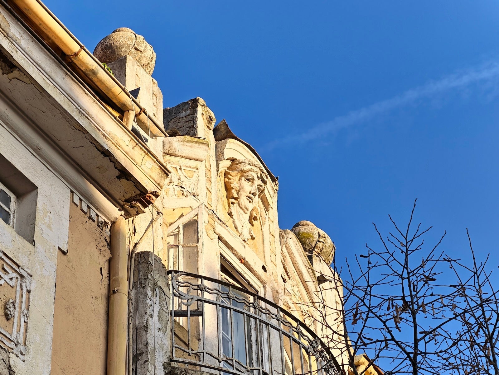 Honor Magic 8 Pro 5X - Honor Magic 8 Pro vs Galaxy S25 Ultra: Sample Photos Comparison