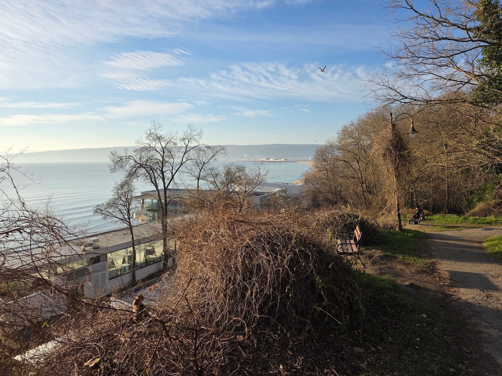 Galaxy S25 Ultra - Honor Magic 8 Pro vs Galaxy S25 Ultra: Sample Photos Comparison