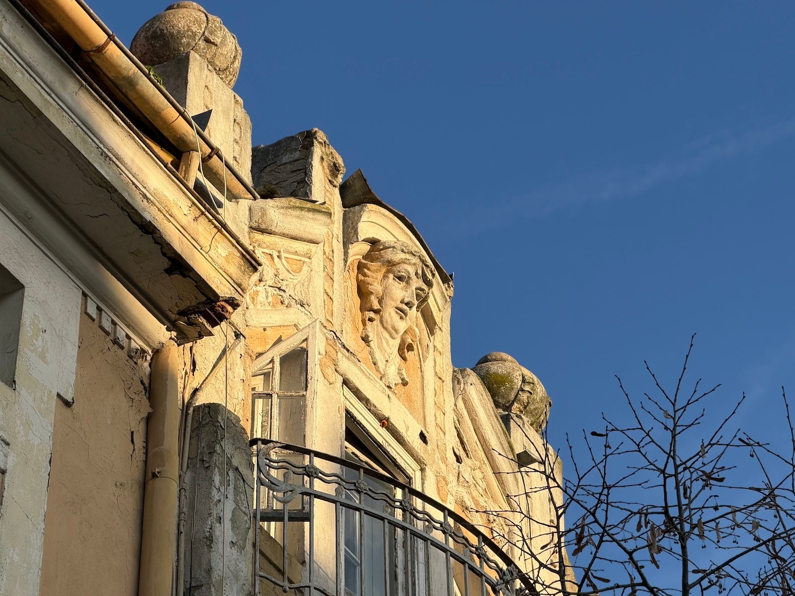 iPhone 17 Pro 5X - Honor Magic 8 Pro vs iPhone 17 Pro: Sample Photos Comparison