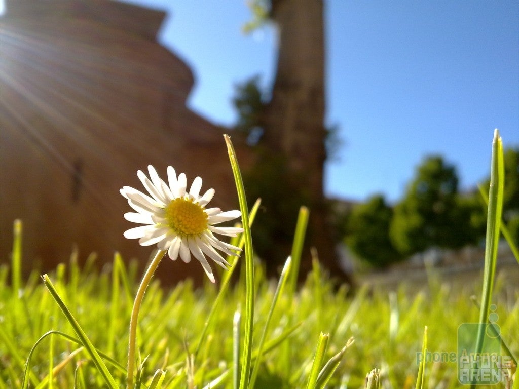 3. Dobell - Nokia N85Flor(last time's winner) - Cool images, taken with your cell phone #8