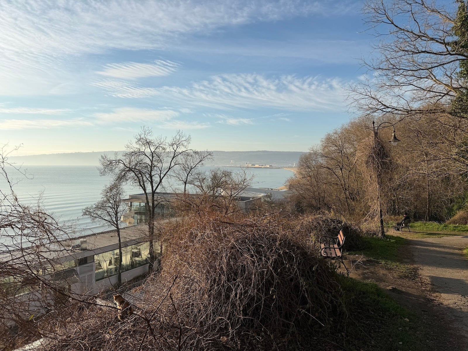 iPhone 17 Pro - Honor Magic 8 Pro vs iPhone 17 Pro: Sample Photos Comparison